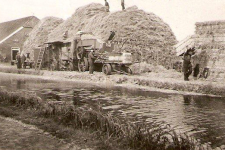 dorsen van de korenbulten